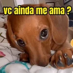 figurinhas de amor ❤️🤣