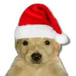 Memes Navideños #② 🎄
