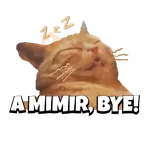 (っ˕ -｡)ᶻ 𝗓 𐰁 A MIMIR!