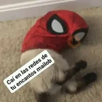 🤣MEMESITOS PAL GRUPO SO🤣
