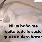 🤣MEMESITOS PAL GRUPO SO🤣