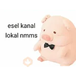 Perdonenmen a todos no acepto🐖