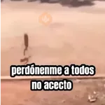 perdónenme no acepto 😎