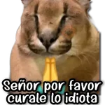 🍃 Stickers a Full #30 🍃