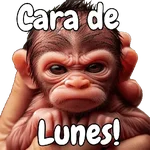 🙉🙊Lunes con Monos🙈🐵
