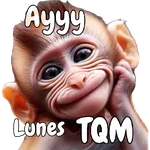 🙉🙊Lunes con Monos🙈🐵