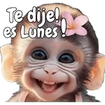 🙉🙊Lunes con Monos🙈🐵