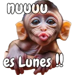 🙉🙊Lunes con Monos🙈🐵