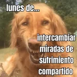 lunes de ... 👌
