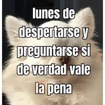 lunes de ... 👌