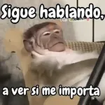 Monos changos graciosos 🐒🐵