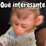 Monos changos graciosos 🐒🐵