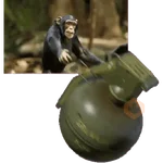 monos macaco changos 3😎