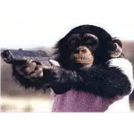 monos macaco changos 3😎
