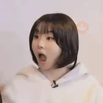 Twice Memes #7