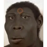 SOPANASCANJANGA MEME