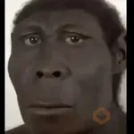 SOPANASCANJANGA MEME
