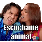familia peluche