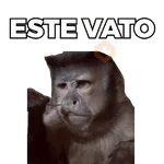Changuitos Moods 🐒🦧