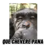 Changuitos mods 🐒🐵