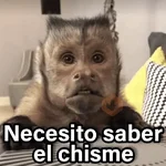 Changuitos 2🐒🍌