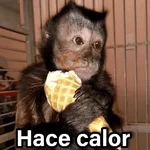 Changuitos 2🐒🍌