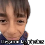🍕•Ya Llegaron las Pipshash•🍕