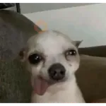 Fórmula 1