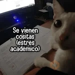 Reacciones MIX #➎ 👌🏻