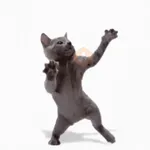 Gatos lol - tiktok 😹
