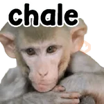Monos 🐵 changos 🙉