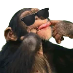 Monos 🐵 changos 🙉