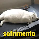 memes de academia