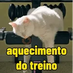 memes de academia
