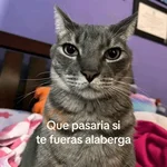 Animales random 2