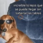 Animales cura depresión🦦