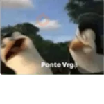 Animales cura depresión🦦