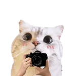 Michis random🐈🐈‍⬛