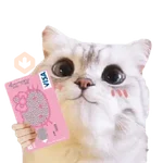 Michis random🐈🐈‍⬛