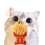 Michis random🐈🐈‍⬛