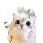 Michis random🐈🐈‍⬛