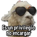 Memes de Animales🌴🍃