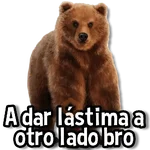 Memes de Animales🌴🍃