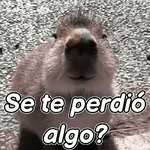 capibara 😎