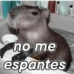 capibara 😎