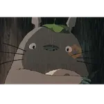 Ghibli  🐈🌟