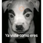 Memes nuevos