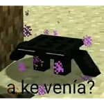 🌈💎✨️Funny⛏minecraft✨️🪨🌈