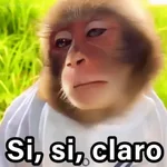 🐵🌴🙊 MONOS 🙊🌴🐵