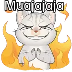 Gato frases para contestar🐈‍⬛💬